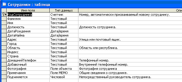 Рис. 3  Таблица “Сотрудники”