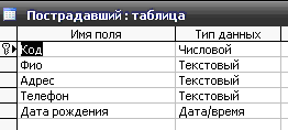 Рис. 3 Скачать базу данных (БД) «Чрезвычайные ситуации» MS Access. Таблица "Пострадавший