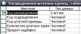 Рис. 3 Скачать базу данных (БД) «Штатное расписание» MS Access. Таблица "Разделение штатных единиц"